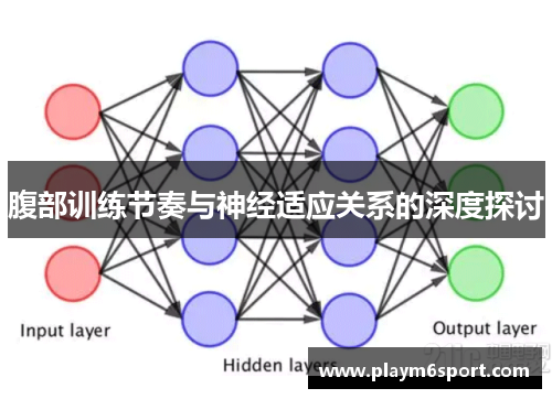腹部训练节奏与神经适应关系的深度探讨