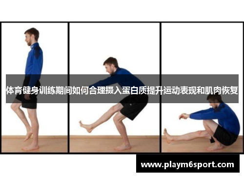 体育健身训练期间如何合理摄入蛋白质提升运动表现和肌肉恢复